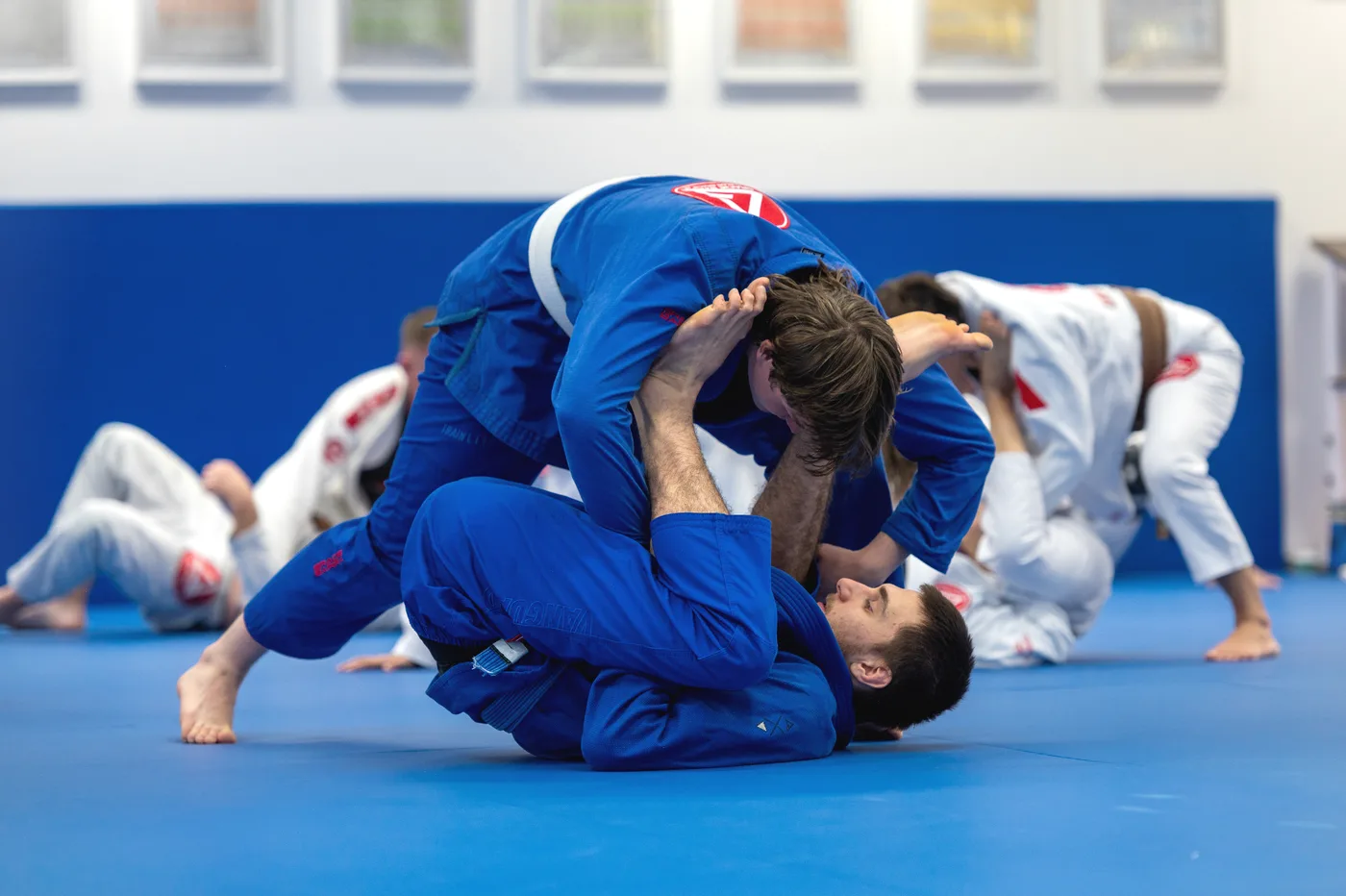 Adults training Jiu-Jitsu at Gracie Barra Sutton Parade